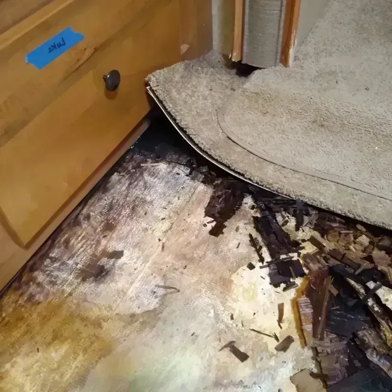 Wood Floor Water Damage in Alliance, OH